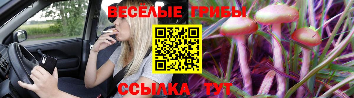 Алапаевск  Галлюциногенные грибы Psilocybe  Вход с VPN  Галлюциногенные грибы GOLDEN TEACHER 